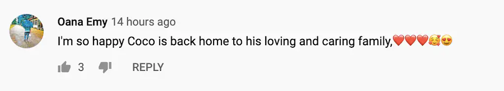 A YouTube comment. 