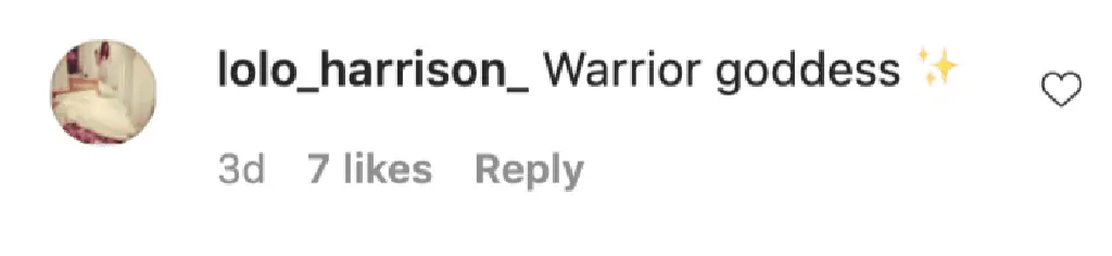 An Instagram comment.