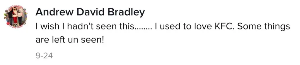 A TikTok comment about KFC chicken.