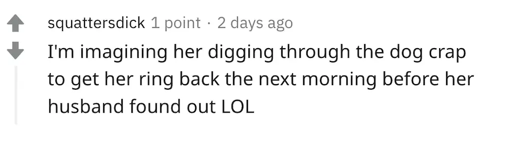 A Reddit comment.