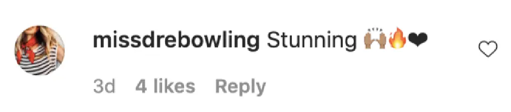 An Instagram comment.