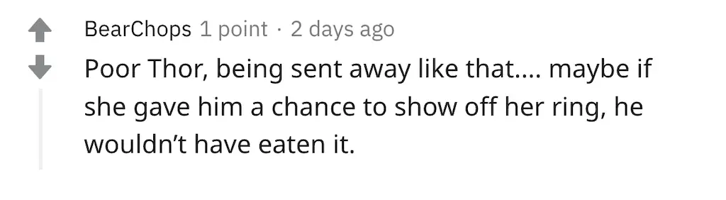 A Reddit comment.
