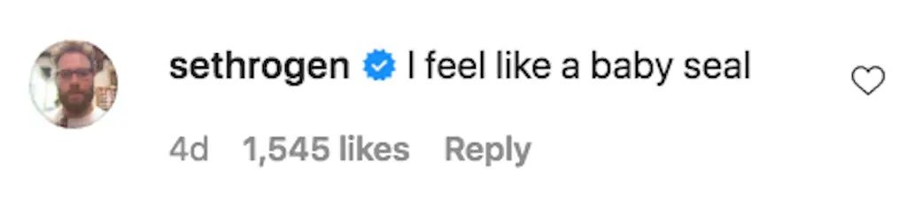 An Instagram comment.
