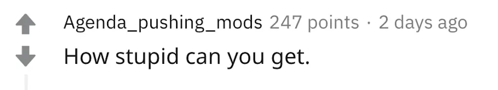 An image of a Reddit comment. 