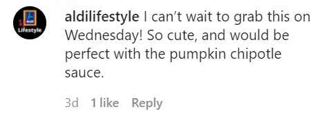 An Instagram comment