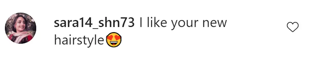 An Instagram comment.