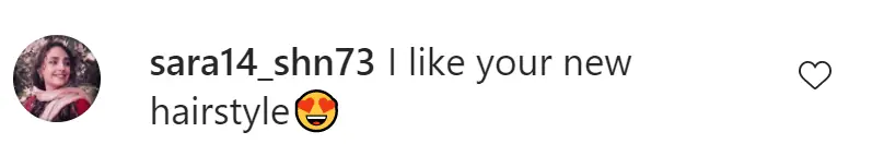 An Instagram comment.