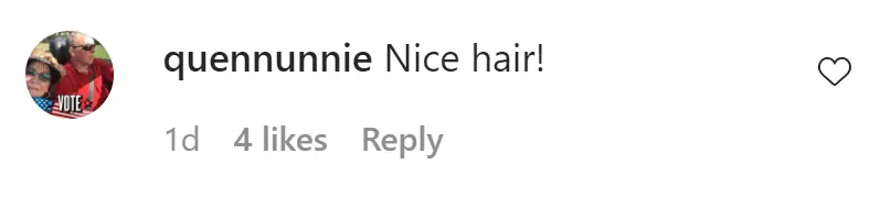 An Instagram comment.