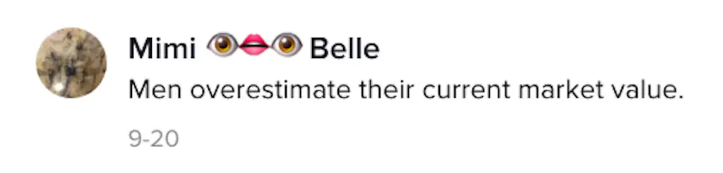 A TikTok comment.
