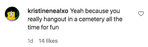 An Instagram comment.