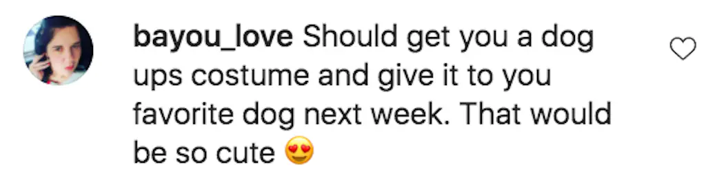 Another user, @bayou_love, said: 'Should get you a dog ups costume and give it to you favorite dog next week. That would be so cute' alongside heart eyes emoji