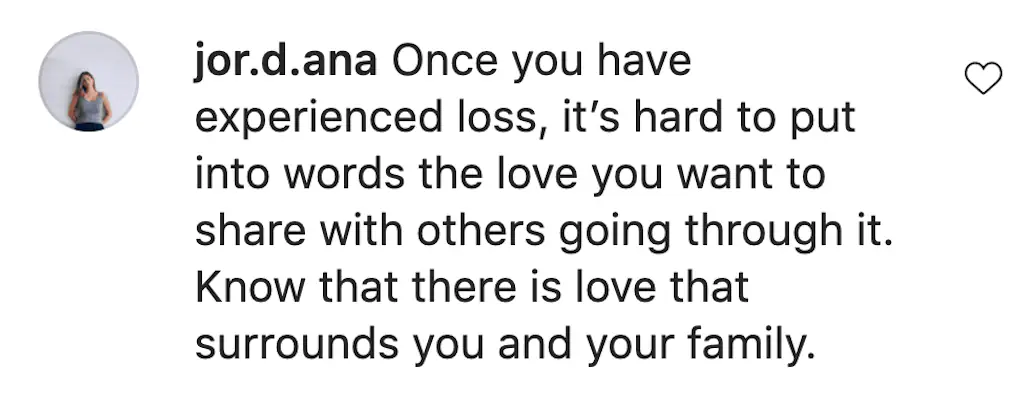 An Instagram comment. 