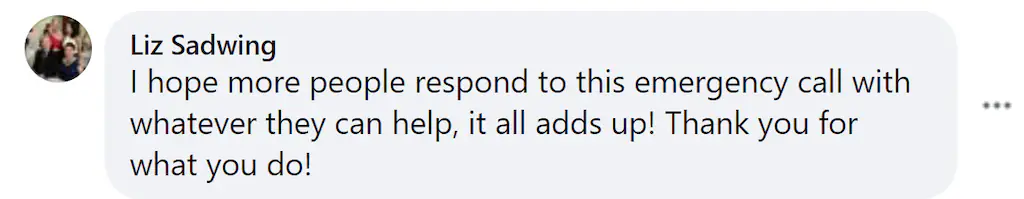 A Facebook comment. 