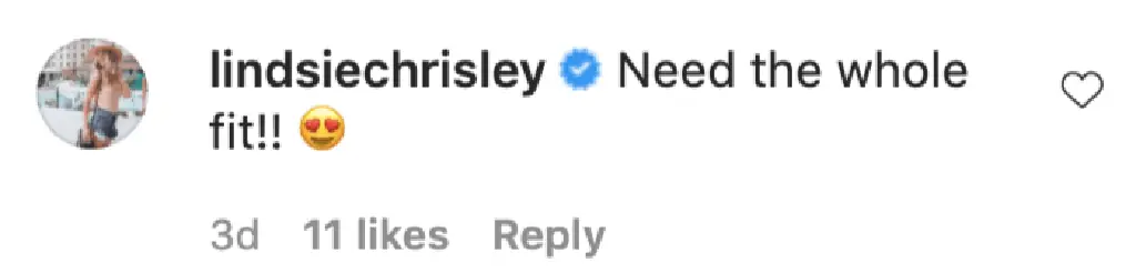 An Instagram comment.