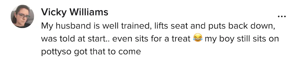 A TikTok comment. 
