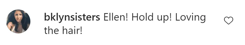 An Instagram comment.