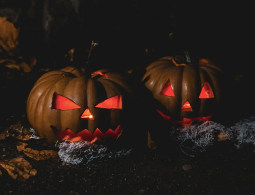 Pumpkins.
