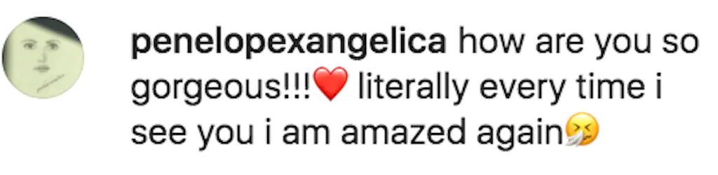 A different commenter with the handle @penelopexangelica asked Hayek,'[How] are you so gorgeous[?] [Literally,] every time I see you I am amazed again.