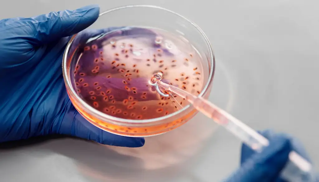 An image of gene therapy. 