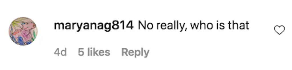 An Instagram comment.
