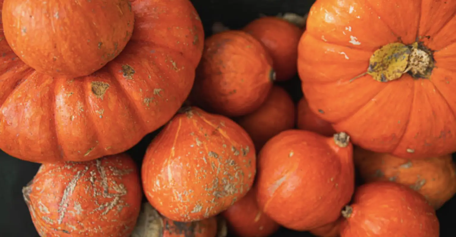 Mom goes viral with genius 'game-changer' hack to carve a pumpkin in just five minutes