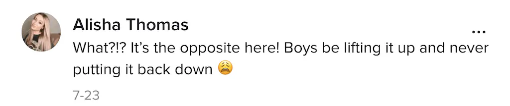A TikTok comment. 