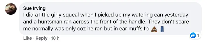 A Facebook comment.