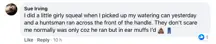 A Facebook comment.