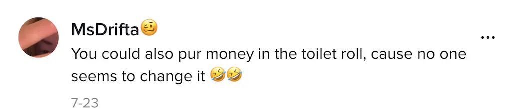 A TikTok comment. 
