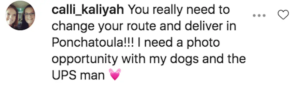 A fourth person, user @calli_kaliyah, suggested: 'You really need to change your route and deliver in Ponchatoula!!! I need a photo opportunity with my dogs and the UPS man.'