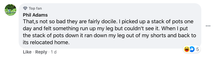 A Facebook comment.