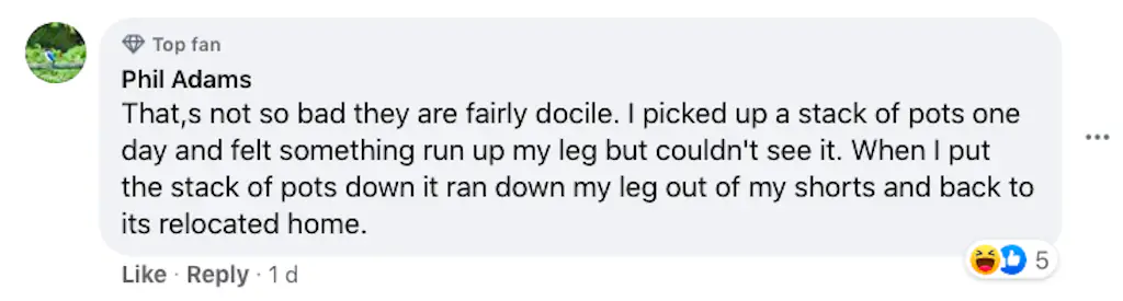 A Facebook comment.
