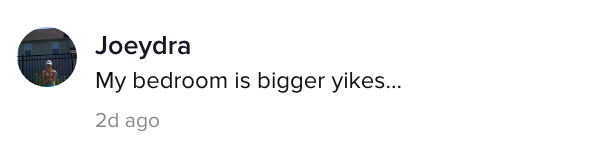 A TikTok comment.