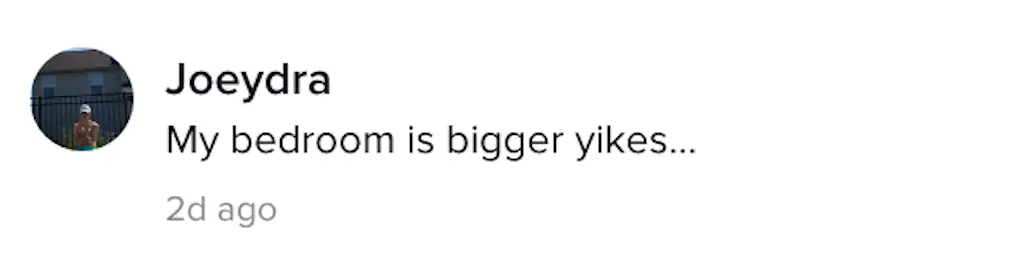 A TikTok comment.