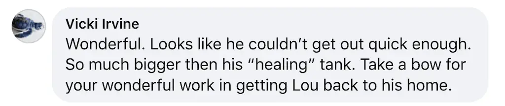 A Facebook comment.