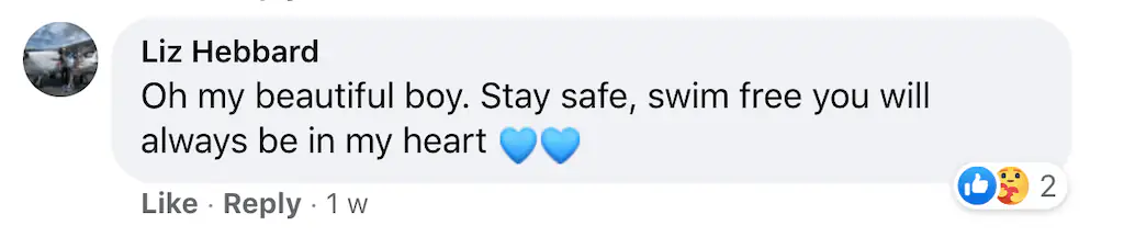 A Facebook comment.