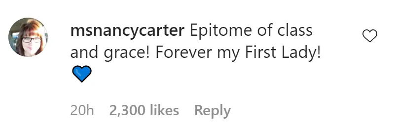 An Instagram comment.