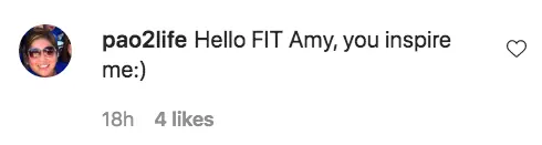 An Instagram comment.