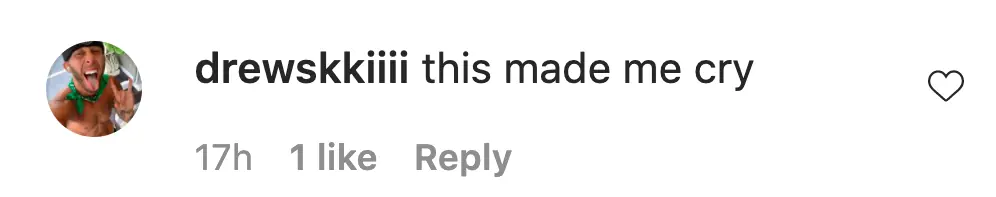 An Instagram comment. 