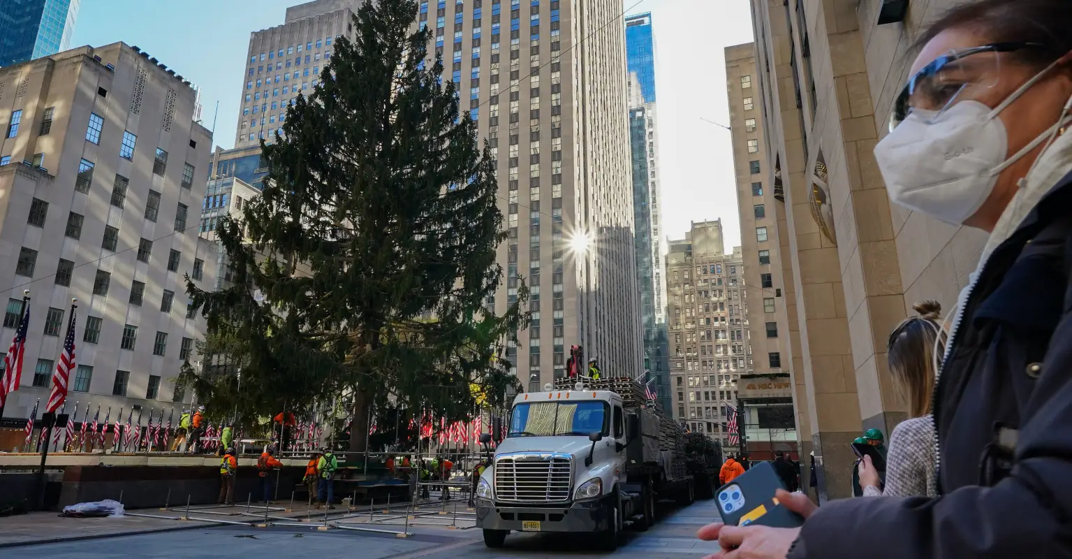 Tiny owl saved after getting stuck in the Rockefeller Center Christmas tree