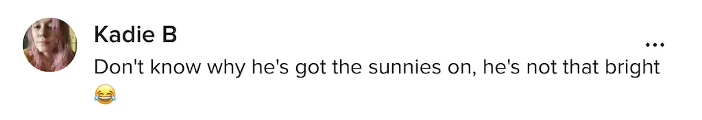 A TikTok comment. 