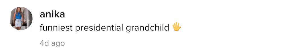 A TikTok comment.