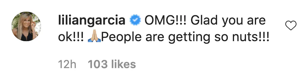 An Instagram comment.