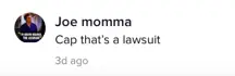 A TikTok comment.