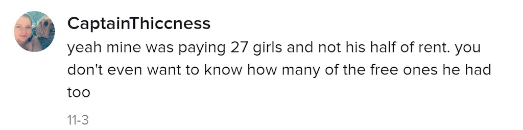 An image of a TikTok comment. 