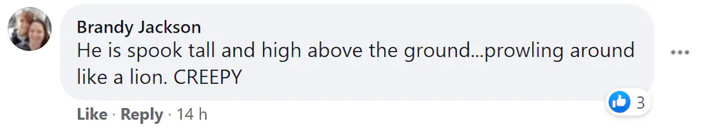 A Facebook comment. 