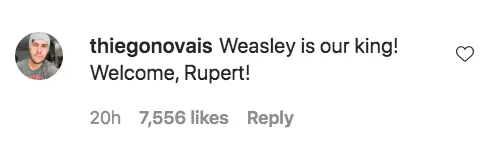 An Instagram comment.