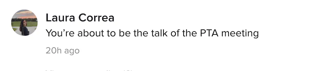An image of a TikTok comment. 