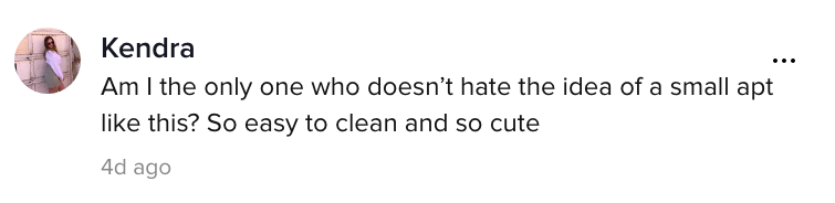 A TikTok comment.