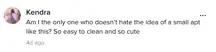 A TikTok comment.